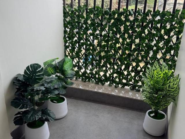 1 BHK Apartment in Mahalakshmi Nagar for rent Indore. The reference number is 21366883