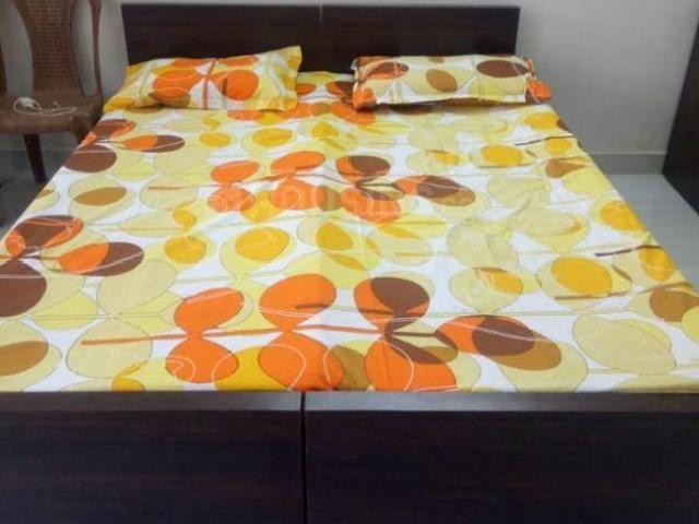 1 BHK Apartment in Mahaveer Nagar for rent Kota. The reference number is 5626763
