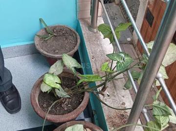 1 BHK Apartment in Mandawali for resale New Delhi. The reference number is 19946292