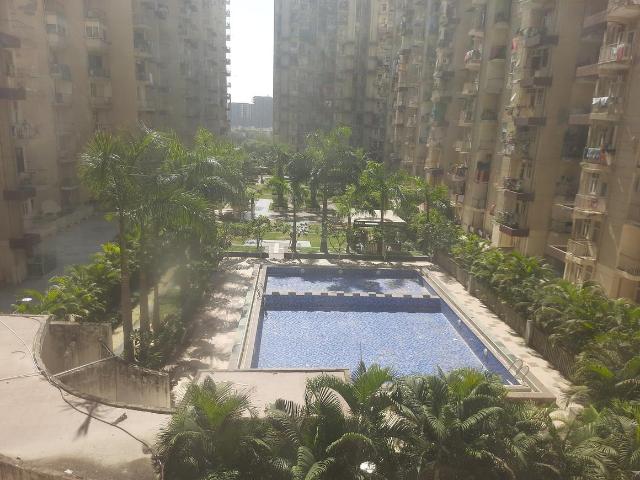 1 BHK Apartment in Milakpur Goojar for resale Bhiwadi. The reference number is 19600093