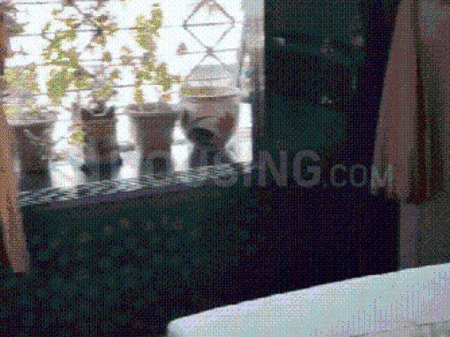 1 BHK Apartment in Mira Road East for resale Mira Bhayandar. The reference number is 21109872