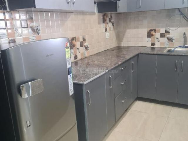 1 BHK Apartment in Noida Extension for rent Greater Noida. The reference number is 19743875