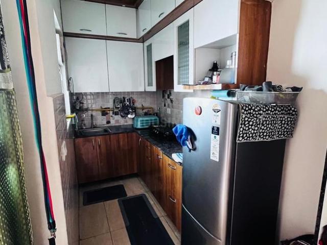 1 BHK Apartment in Noida Extension for rent Greater Noida. The reference number is 20705770