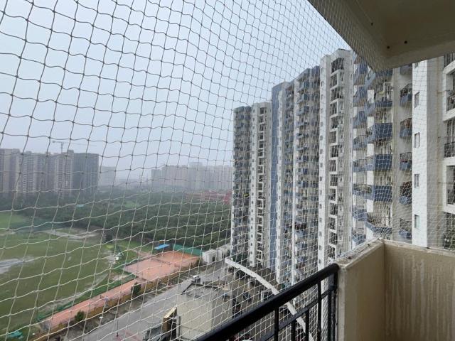 1 BHK Apartment in Noida Extension for rent Greater Noida. The reference number is 20832635