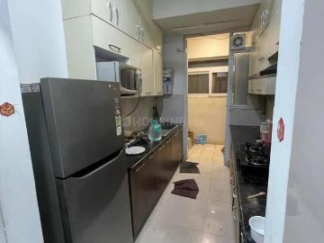 1 BHK Apartment in Noida Extension for rent Greater Noida. The reference number is 20387050