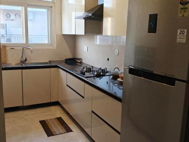 1 BHK Apartment in Nabha for rent Zirakpur. The reference number is 19626979