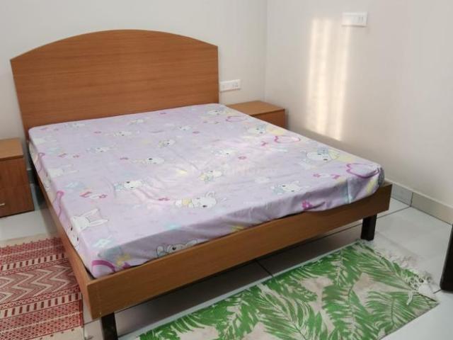 1 BHK Apartment in Nabha for rent Zirakpur. The reference number is 21179241