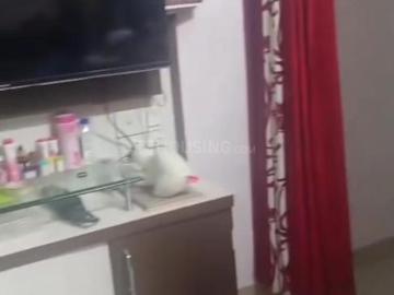 1 BHK Apartment in Nanded for rent Pune. The reference number is 20490220