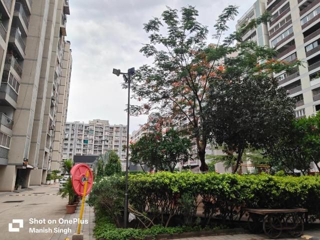 1 BHK Apartment in Nipania for rent Indore. The reference number is 20632452