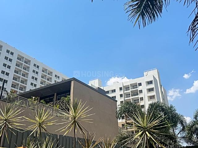 1 BHK Apartment in Somatane for resale Pune. The reference number is 19907797