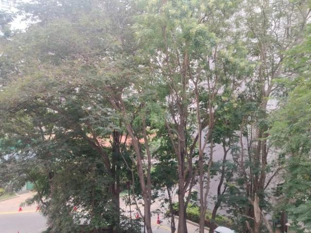 1 BHK Apartment in Sahakara Nagar for rent Bengaluru. The reference number is 21145958