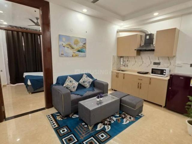 1 BHK Apartment in Saket for rent New Delhi. The reference number is 19990595