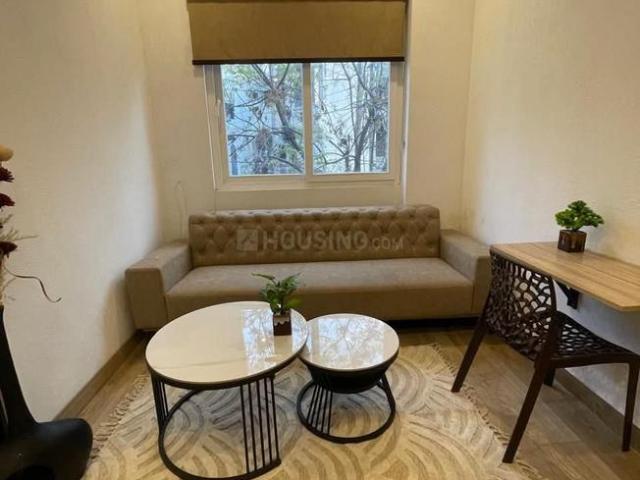 1 BHK Apartment in Saket for rent New Delhi. The reference number is 20332516