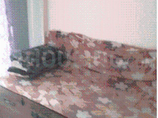 1 BHK Apartment in Saphale for rent Mumbai. The reference number is 13961613