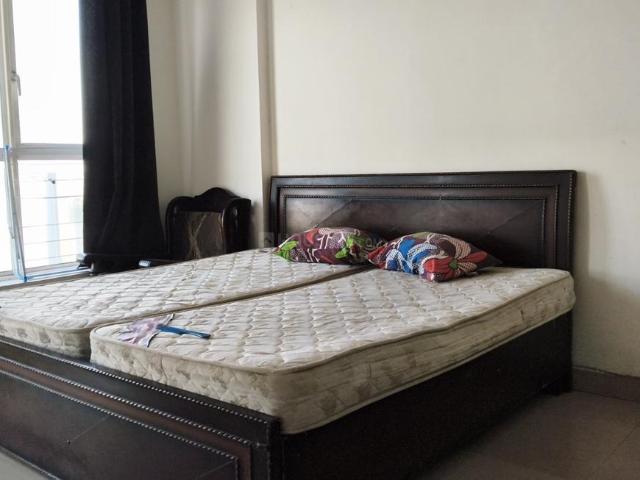 1 BHK Apartment in Sector 143 for rent Noida. The reference number is 20023239