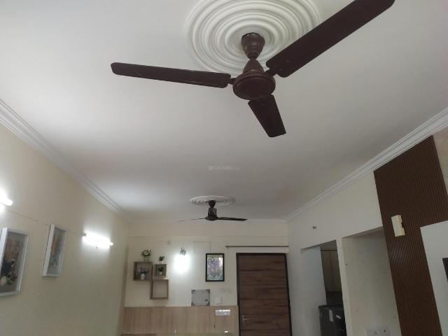 1 BHK Apartment in Sector 143 for rent Noida. The reference number is 21350287