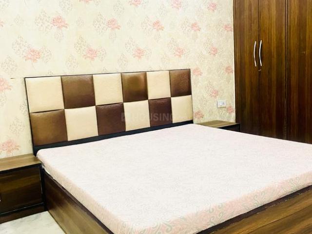1 BHK Apartment in Sector 14 for rent Gurgaon. The reference number is 20285440