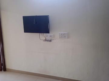1 BHK Apartment in Sector 15 for rent Gurgaon. The reference number is 19672839