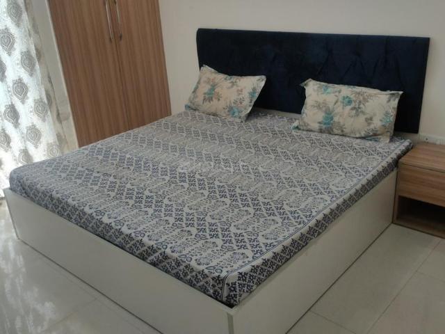 1 BHK Apartment in Sector 168 for rent Noida. The reference number is 20839304