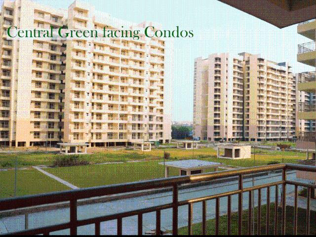 1 BHK Apartment in Sector 19 Dwarka for rent New Delhi. The reference number is 20151744