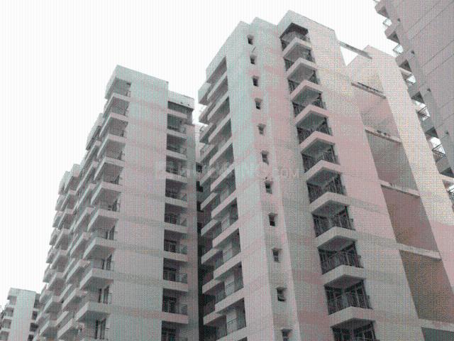 1 BHK Apartment in Sector 19 Dwarka for rent New Delhi. The reference number is 20151798