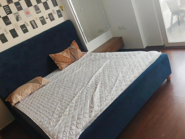 1 BHK Apartment in Sector 106 for rent Gurgaon. The reference number is 20399568