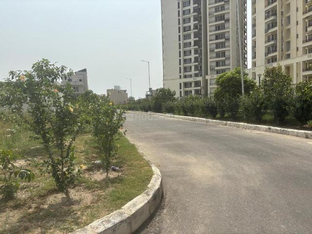 1 BHK Apartment in Sector 131 for resale Noida. The reference number is 19583846