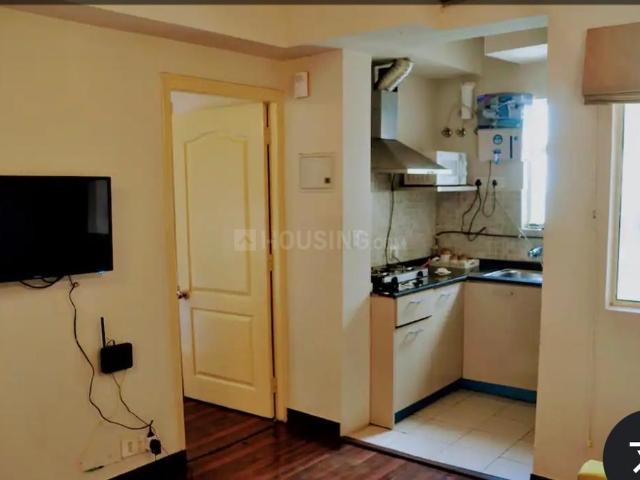 1 BHK Apartment in Sector 137 for rent Noida. The reference number is 20493208