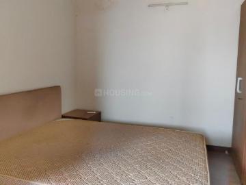 1 BHK Apartment in Sector 137 for rent Noida. The reference number is 20559880