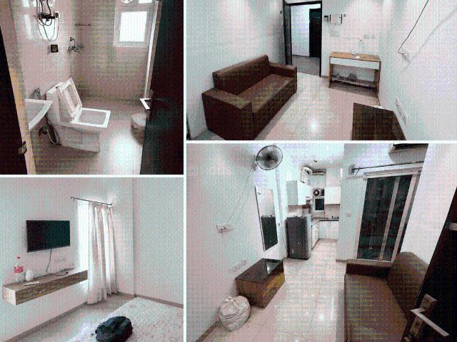 1 BHK Apartment in Sector 137 for rent Noida. The reference number is 20688457