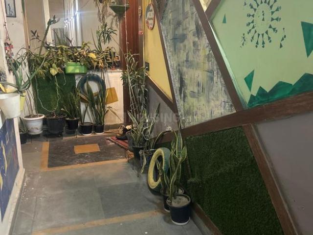 1 BHK Apartment in Sector 134 for rent Noida. The reference number is 19769194
