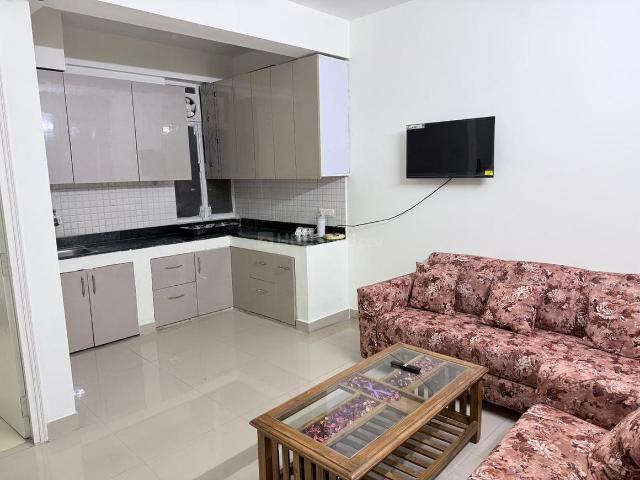 1 BHK Apartment in Sector 33 for rent Sohna. The reference number is 20410632