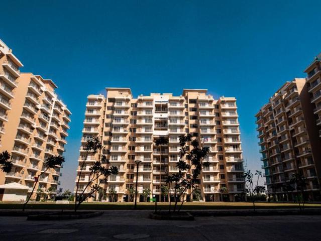 1 BHK Apartment in Sector 33 for rent Sohna. The reference number is 20996163