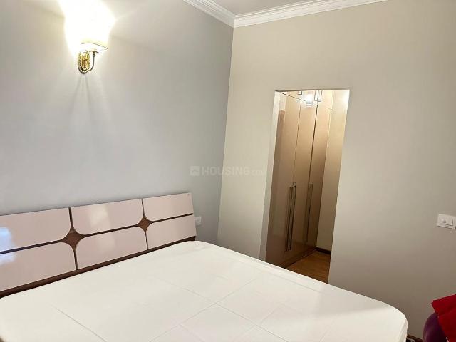 1 BHK Apartment in Sector 33 for rent Sohna. The reference number is 21269973
