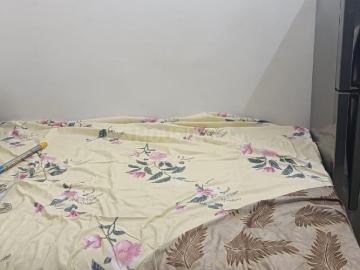 1 BHK Apartment in Sector 49 for rent Chandigarh. The reference number is 18968117