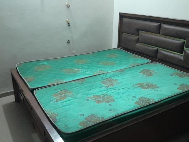 1 BHK Apartment in Sector 49 for rent Chandigarh. The reference number is 20385614