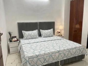 1 BHK Apartment in Sector 49 for rent Gurgaon. The reference number is 20533373