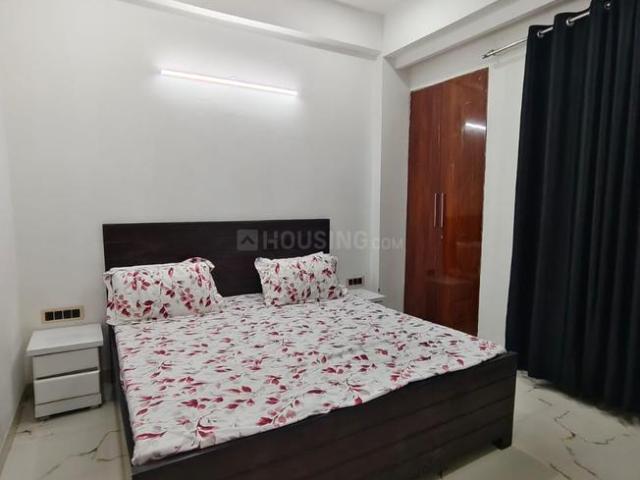 1 BHK Apartment in Sector 49 for rent Gurgaon. The reference number is 20000399