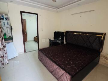 1 BHK Apartment in Sector 43 for rent Gurgaon. The reference number is 19935555