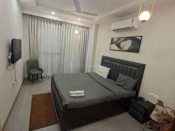 1 BHK Apartment in Sector 43 for rent Gurgaon. The reference number is 20549763