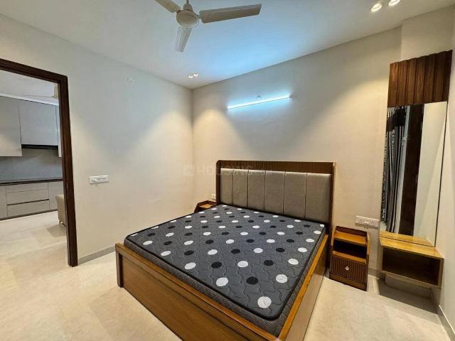 1 BHK Apartment in Sector 43 for rent Gurgaon. The reference number is 20998235