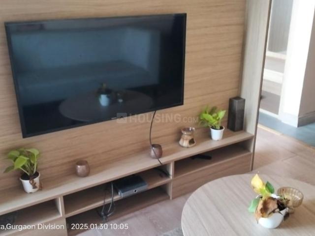 1 BHK Apartment in Sector 59 for rent Gurgaon. The reference number is 16438168