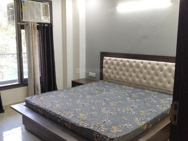 1 BHK Apartment in Sector 52A for rent Gurgaon. The reference number is 19925437