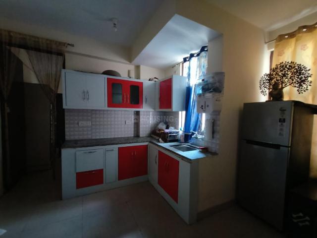 1 BHK Apartment in Sector 61 for rent Sonipat. The reference number is 19950933