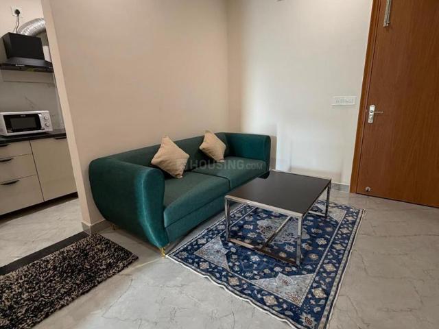 1 BHK Apartment in Sector 62 for rent Noida. The reference number is 20657194