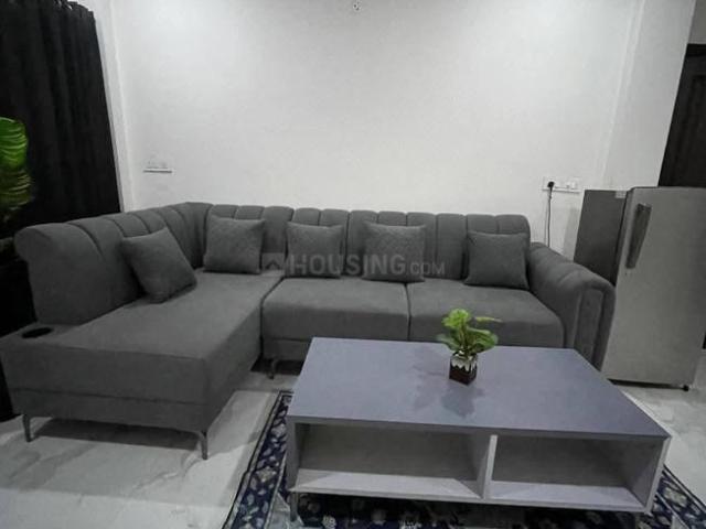 1 BHK Apartment in Sector 62 for rent Noida. The reference number is 20873782