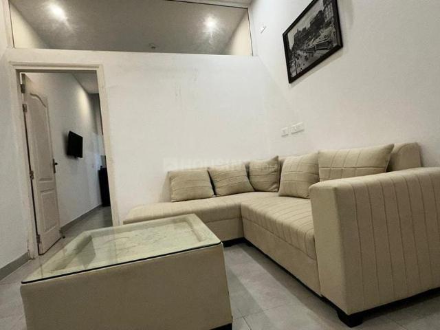 1 BHK Apartment in Sector 62 for rent Noida. The reference number is 20981137