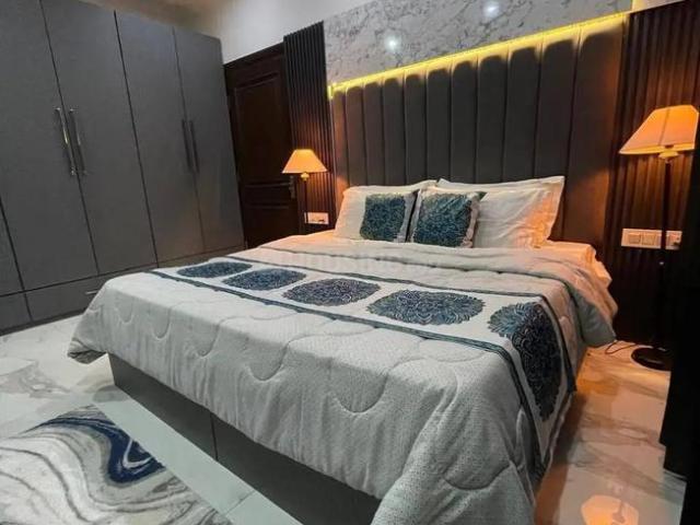 1 BHK Apartment in Sector 62 for rent Noida. The reference number is 20998478