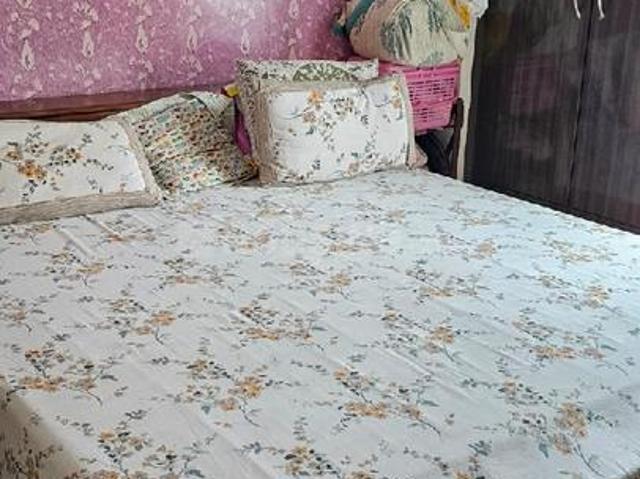 1 BHK Apartment in Sector 76 for rent Noida. The reference number is 18194383