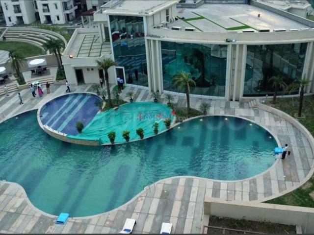 1 BHK Apartment in Sector 76 for rent Noida. The reference number is 21057249